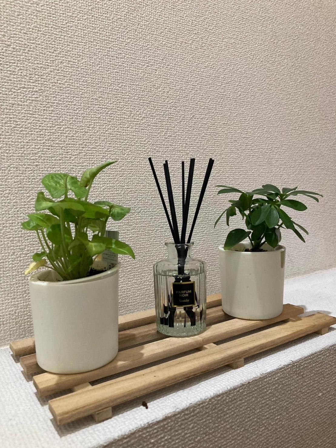 Appartamento Fujiya -富士矢- Private House Max 12 People *